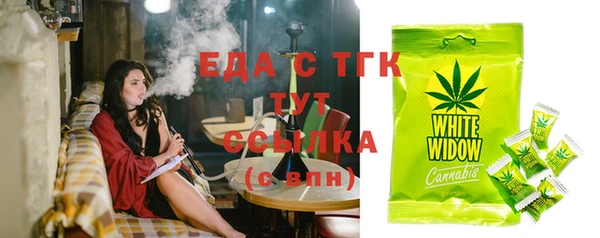 mix Богородицк