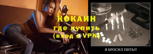 мет Новозыбков