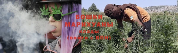 мет Новозыбков